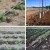 439e30f547768997ae124517833c9c18