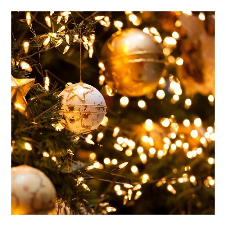 0f4011f3de6e86384899f5662e17f157