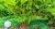 36eb615e93155bacb6b328905b35e999