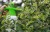 5419ff3093d76a86a2b4c218ab86a534